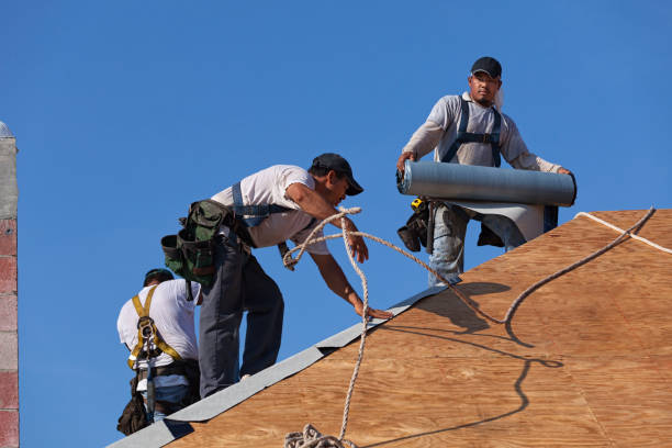 Best Flat Roof Repair Services  in Leadville, CO