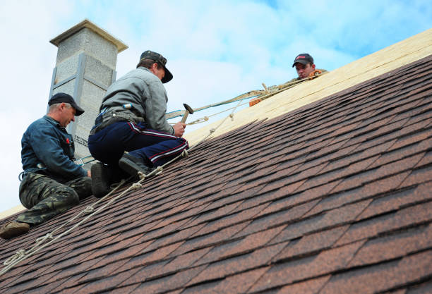 Best Roof Restoration Services  in Leadville, CO